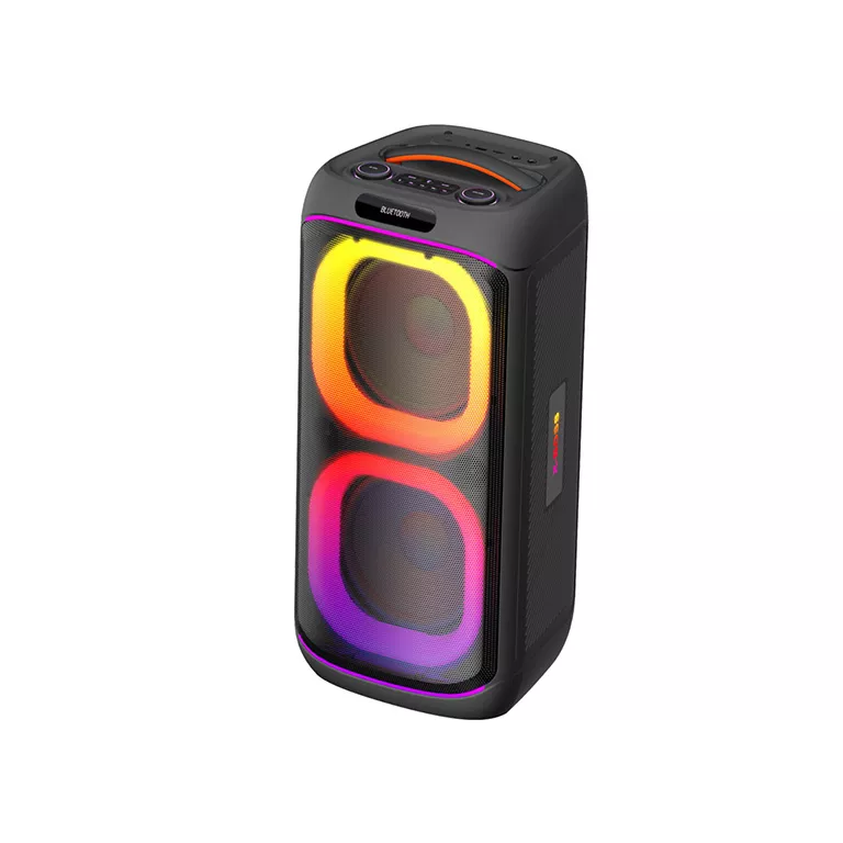 Dual Party speaker