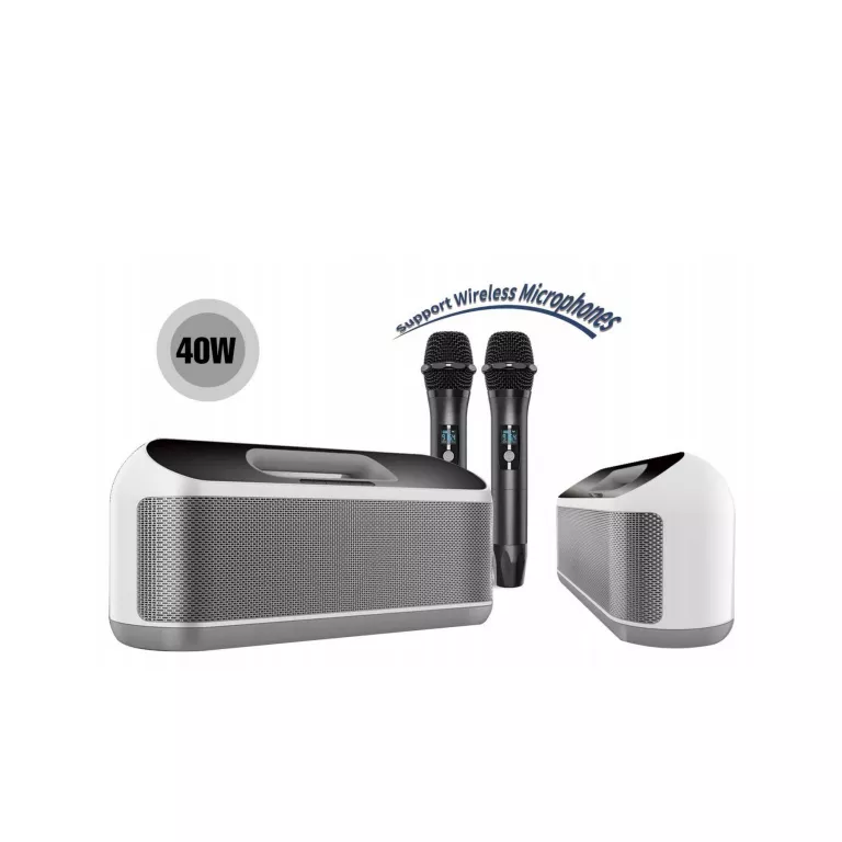Portable karaoke speaker